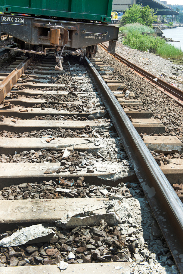 Ein Zug auf einem Bahngleis mit grünen Pflanzen auf der rechten Seite.