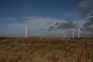 Ein Windturbinenfeld auf einer grasbewachsenen Fläche mit Bäumen im Hintergrund und Wolken am Himmel, mit Textangabe des Standorts Niederlande.