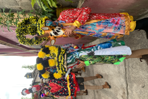 Eine Gruppe von Menschen in bunten Kostümen steht vor einem Gebäude und hält verschiedene Gegenstände, mit Bäumen, Gebäuden und einem klaren blauen Himmel im Hintergrund während eines Karnevals-Umzugs.