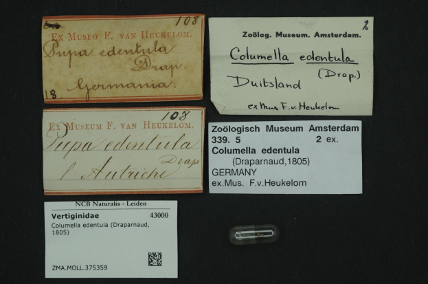 A collection of old business cards with text related to columella edentula, a Dutch medicine, and a small barcode-labeled paper.