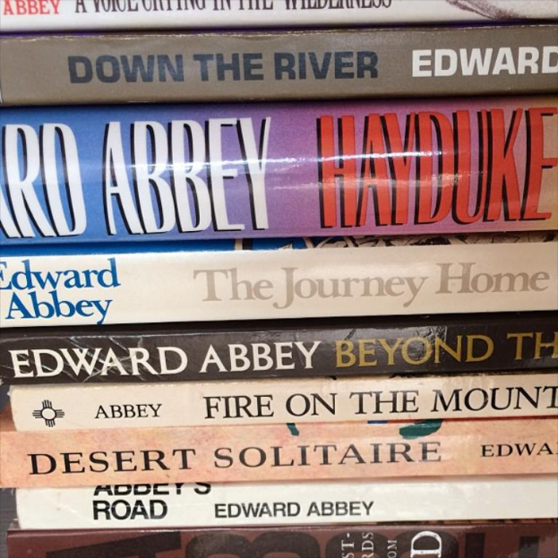 Eine Sammlung von Büchern wird gezeigt.