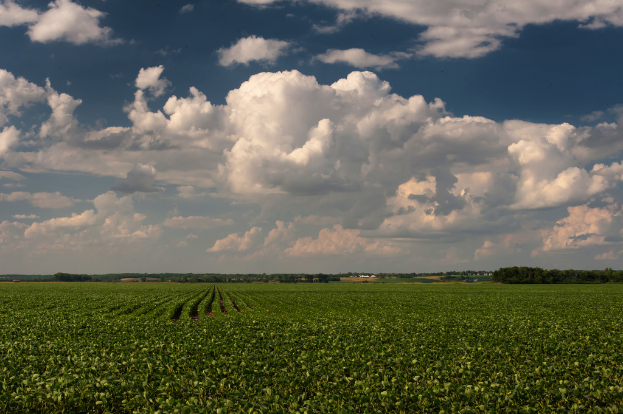 Grüne im Vordergrund mit Häusern, Bäumen und Himmel im Hintergrund.