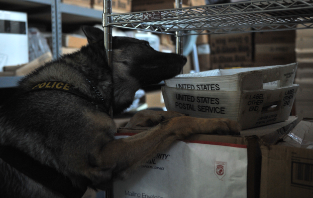 Ein schwarzer und brauner Polizei-Hund ruht auf einem Stapel Kisten in einem Lager, umgeben von Kartonagen auf Regalen.