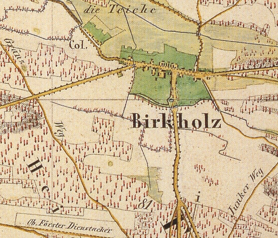 Detailed old map of Birkholz, Germany, with text annotations.
