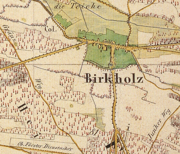 Detailed old map of Birkholz, Germany, with text annotations.