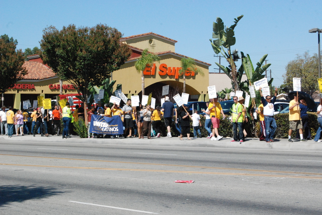 Eine Gruppe von Menschen mit Schildern und Bäumen, Büschen, einem Banner, einem Gebäude mit Namensschildern, Autos und aktuellen Umfragen im Hintergrund.