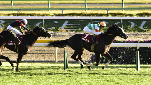 Zwei Jockeys in Helmen auf Pferden auf einer Grasbahn mit floraler Umgebung, einem Geländer und einer Texttafel im Hintergrund.