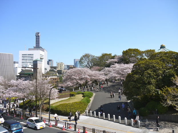 Eine Vogelperspektive einer Straße mit fahrenden Autos, einem Fußweg mit Fußgängern, Absperrgittern, Verkehrssignalmasten, Hecken, Bäumen, Gebäuden und dem Himmel.