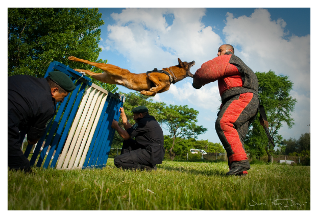 Ein Hund springt auf eine Person in einem Schwimmwestenanzug, während andere auf dem Gras sitzen und eine Eisenabsperrung halten, mit Bäumen und einem geparkten Fahrzeug im Hintergrund.