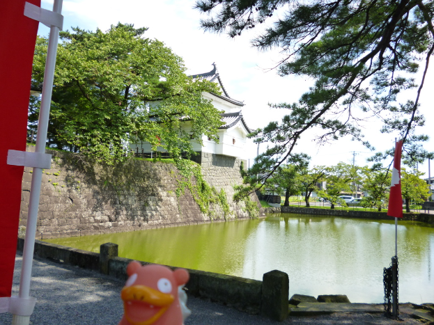 Ein von Bäumen umgebenes Gewässer mit Autos, Häusern und anderen Gebäuden im Hintergrund.