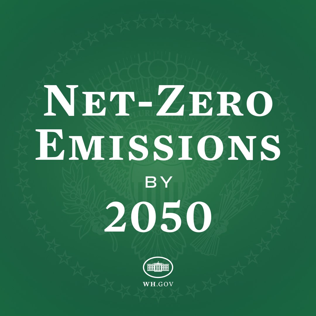 Weißer Text, der "net-zero emissions by 2050" auf einem festen grünen Hintergrund liest.