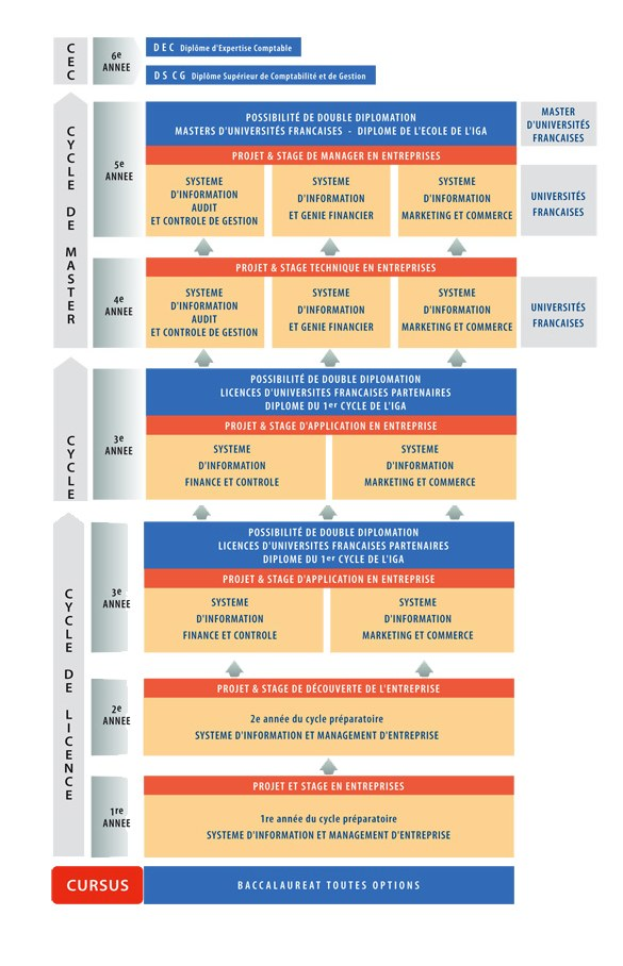Diagramm, das die organisatorische Struktur eines Unternehmens mit interconnected boxes darstellt, die die Stufen des Geschäfts growths and developments darstellen, begleitet von beschreibendem Text.