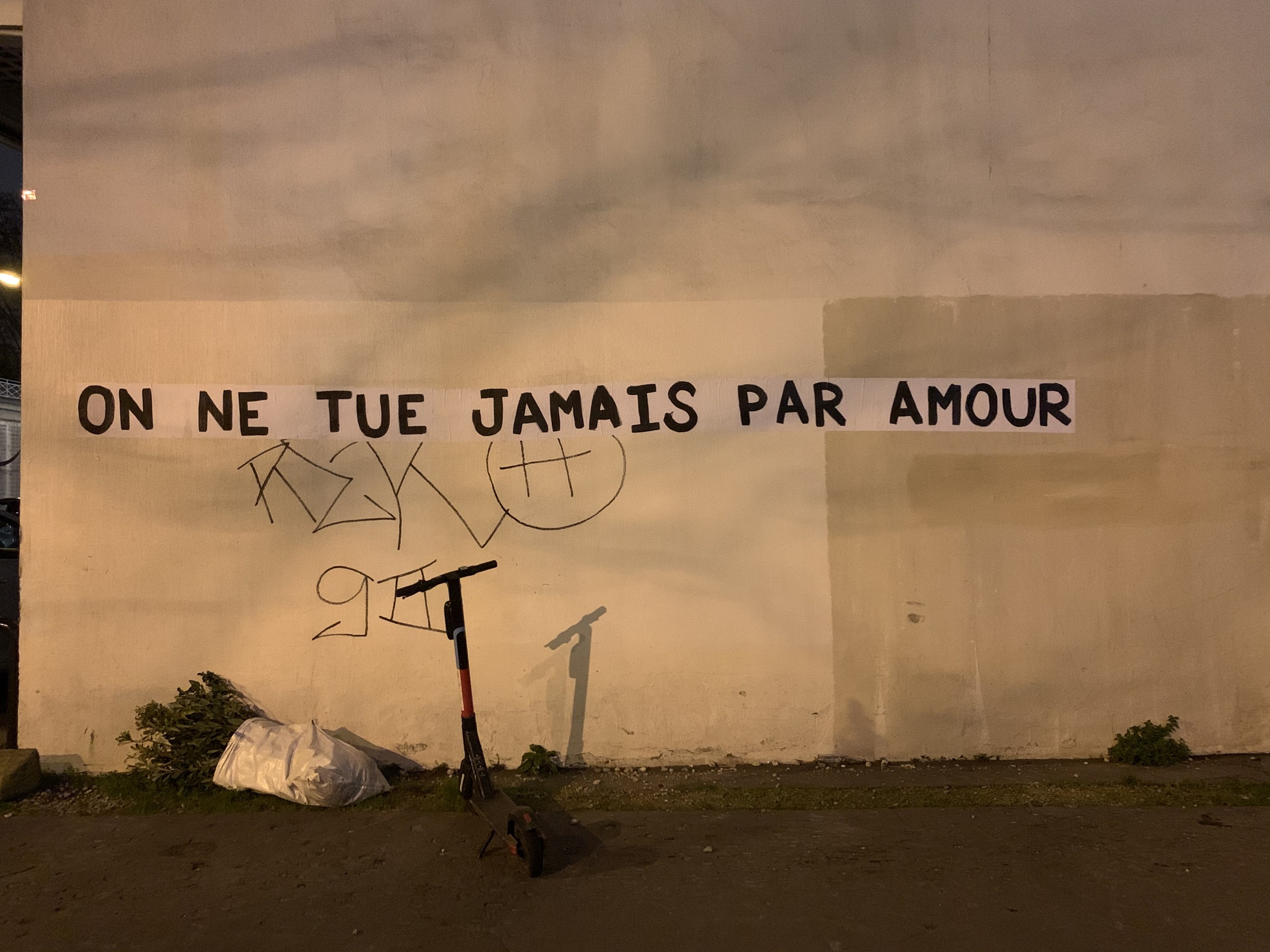 A scooter parked in front of a graffiti-covered wall with the text "On ne tue jamais par amour," surrounded by plants and a ground cover, with a building, light pole, and sky in the background.
