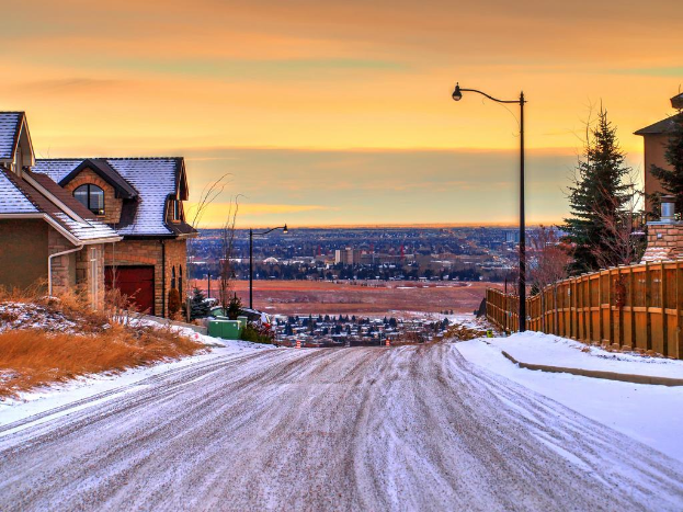 Eine Straßenszene mit Häusern, Gebäuden, Bäumen, Pflanzen, Gras, einer Straße, Eis, einem Zaun, Straßenlaternen und Polen unter einem bewölkten Himmel.
