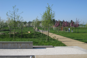 Ein parkartiger Weg, gesäumt von Bäumen und Bänken, wo Menschen Fahrräder fahren, mit Gebäuden und einem klaren blauen Himmel im Hintergrund und saftig grünem Gras, das den Boden bedeckt.