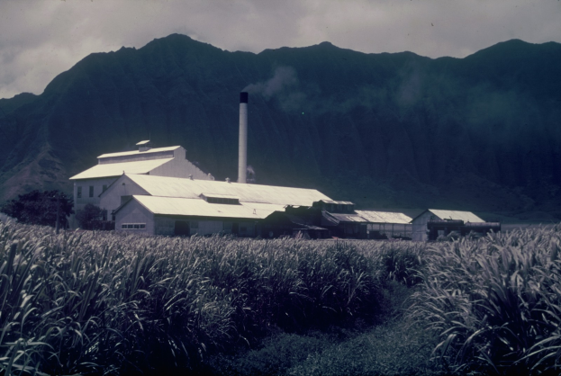 Ein altes Foto einer Zuckerfabrik in einem von Pflanzen und Bäumen umgebenen Feld mit Hügeln, einem Schornstein im Hintergrund und einer bewölkten Himmel sowie Text am unteren Bildrand.