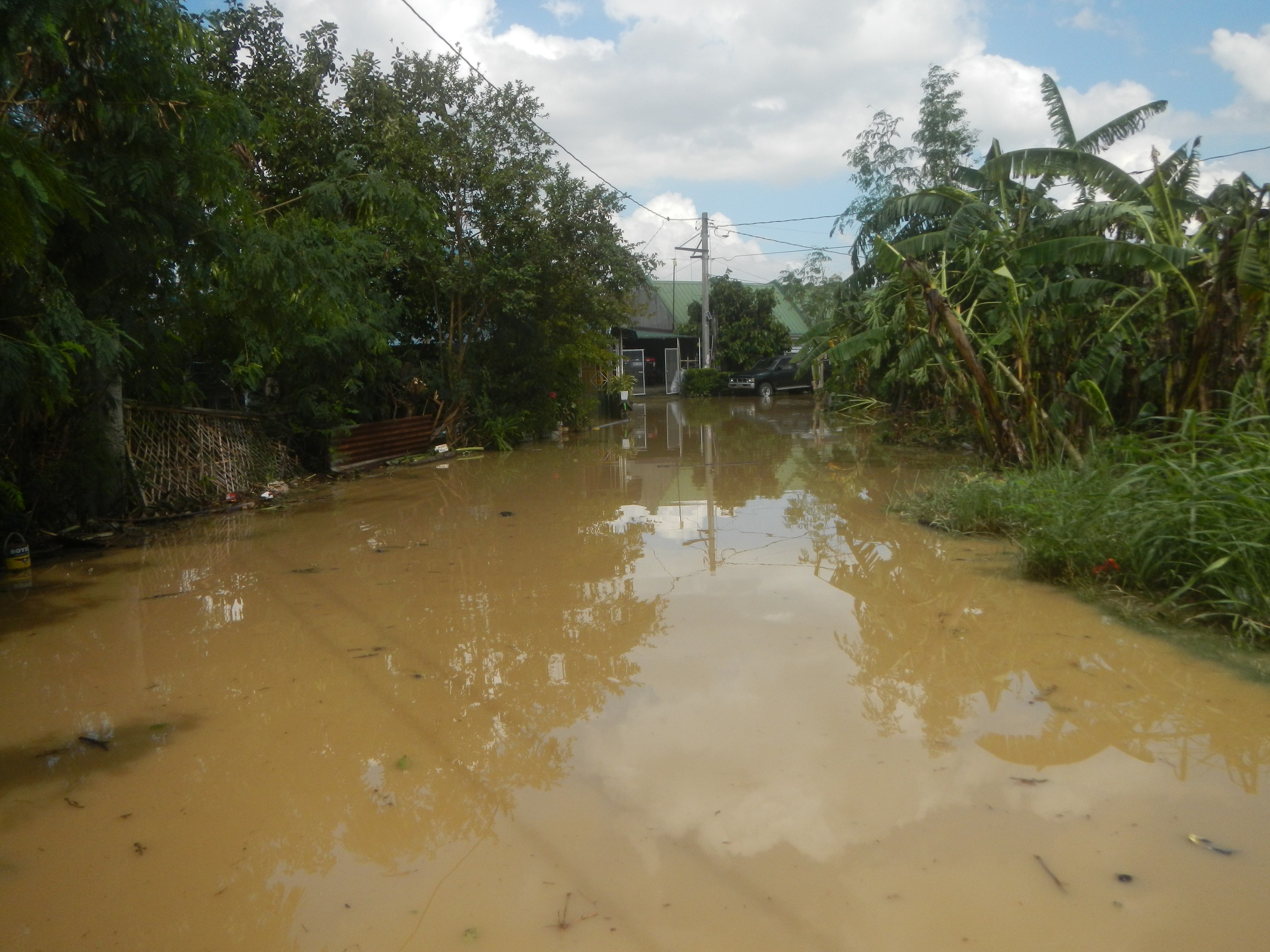 Flutstraße in ländlicher Gegend mit Wasser auf der Straße, Pflanzen und Bäumen auf beiden Seiten, einem Auto auf der rechten Seite und beschädigten Häusern, Pfählen und Drähten im Hintergrund unter einem bewölkten Himmel.