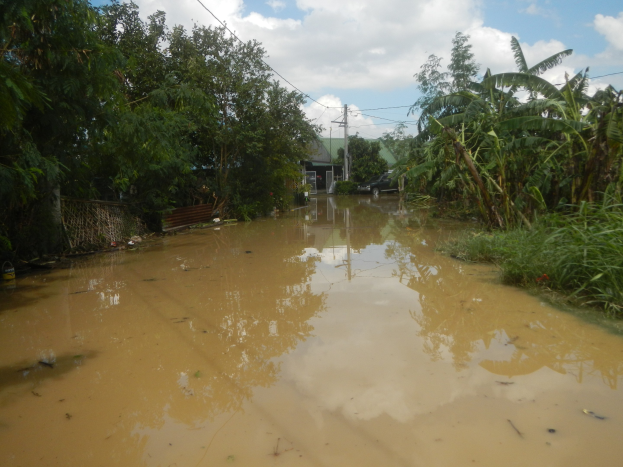 Flutstraße in ländlicher Gegend mit Wasser auf der Straße, Pflanzen und Bäumen auf beiden Seiten, einem Auto auf der rechten Seite und beschädigten Häusern, Pfählen und Drähten im Hintergrund unter einem bewölkten Himmel.