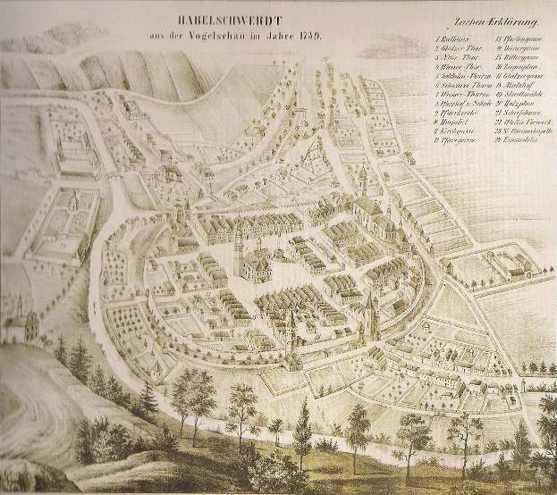Ein altes Stadtplan von Hamburg, Deutschland, mit hohen, grünen Bäumen, verstreuten Gebäuden und beschreibendem Text.