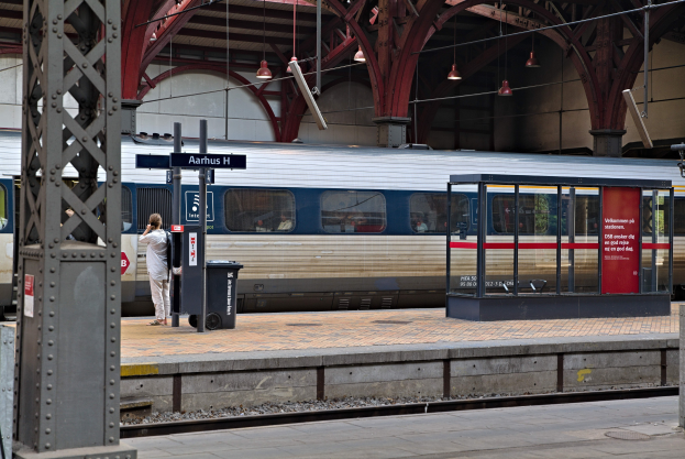 Ein Zug fährt auf einem Bahnsteig ein mit einer Person in der Nähe, einem Müllcontainer, Stützen, Informationsschildern und Deckenleuchten.