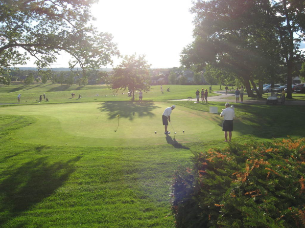 Ein Mann hält einen Golfschläger auf einer grünen Wiese mit Bäumen und Büschen, mit parkenden Autos und Häusern im Hintergrund.
