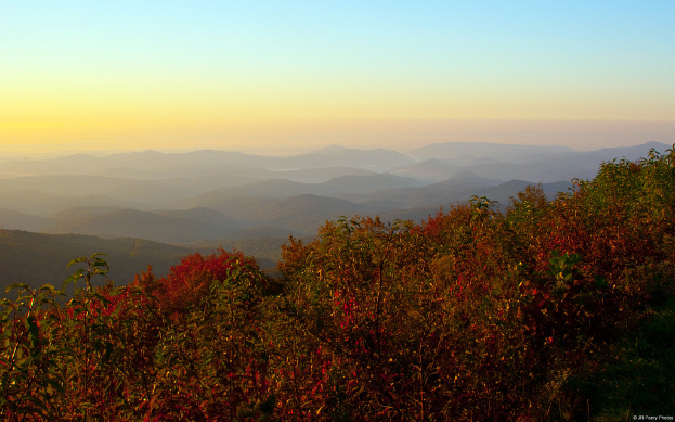 Eine Landschaft mit Bergen, Bäumen mit Pflanzen und Blumen sowie verschiedenen Vegetation.