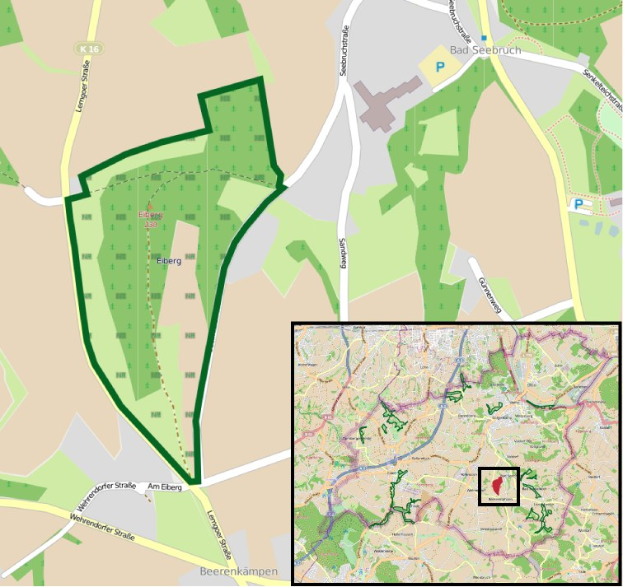 Ein detaillierter Stadtplan mit einem zentralen Grünbereich, der für die geplante Entwicklung markiert ist, zeigt Straßen, Gebäude und Sehenswürdigkeiten.