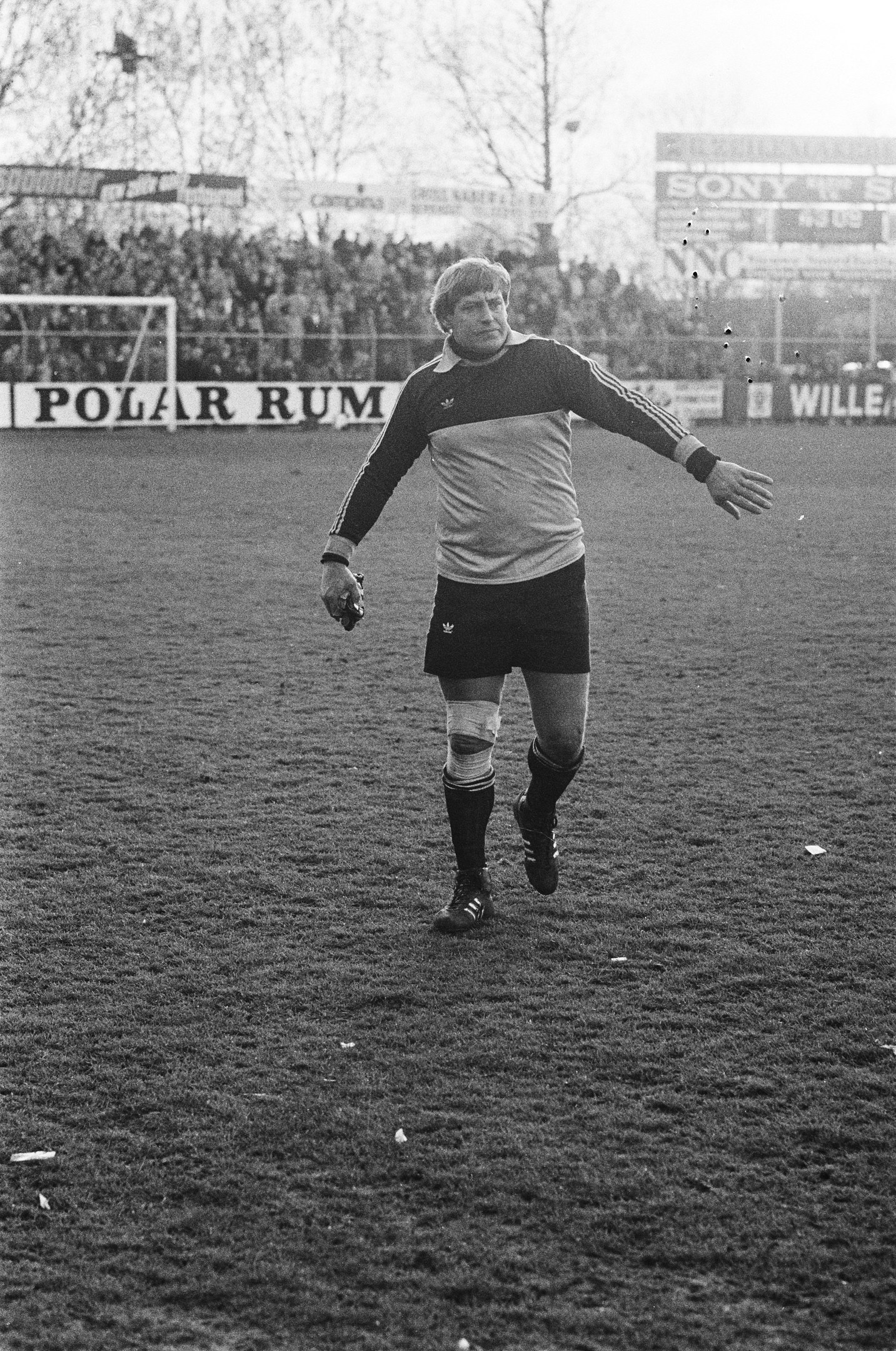 A professional soccer player in uniform stands on a field with a goal post, surrounded by a crowd, boards, trees, and a clear sky.