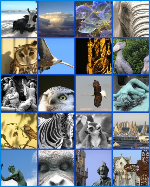 Ein Collage mit verschiedenen Tieren wie Kühen, Zebras und einer Eule sowie mehreren Skulpturen.