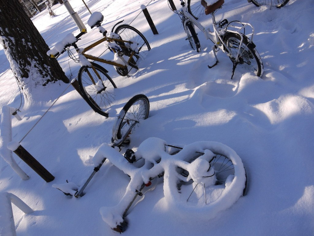 Eine Reihe von Fahrrädern, die teilweise mit Schnee bedeckt sind, mit einem Baumstamm und einer Straße daneben.