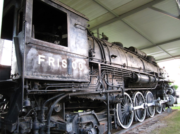 Ein Zug steht in der Mitte auf den Schienen mit Gras darunter und einer Decke mit Stangen darüber.