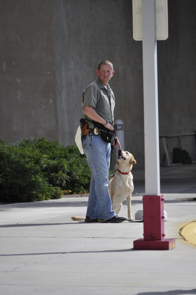 Mann fängt Hund auf der Straße mit einer Stange, Namensschild, Pflanzen und einem Gebäude im Hintergrund.