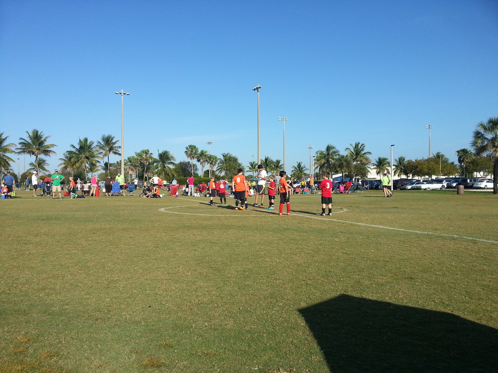 Eine Gruppe von Menschen versammelte sich auf einer grünen Spielfläche mit Bäumen, Pfählen und Autos im Hintergrund.