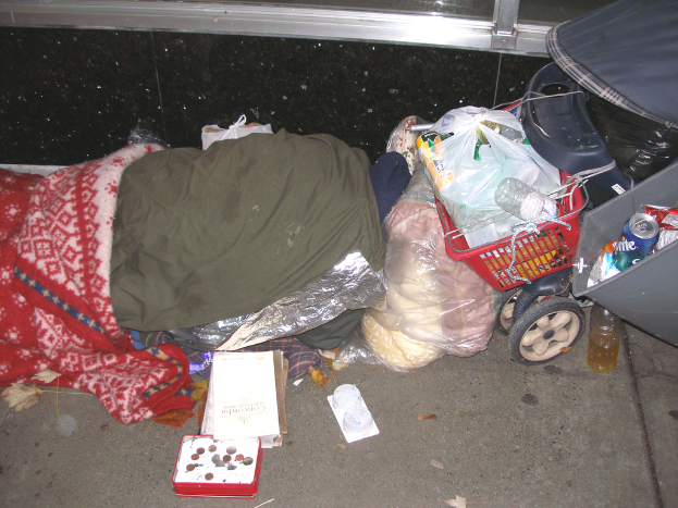 Ein Einkaufswagen, eine Kiste, eine Dose, Papiere und andere Gegenstände in einer Hülle, mit Kleidung, einem Fußweg und einer Wand im Hintergrund.