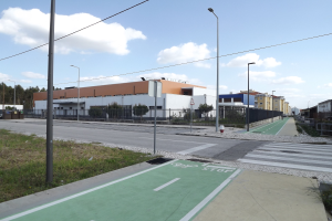 Eine Stadtstraße mit einer zentralen grünen Fahrradspur, die von Gras, Pfosten, Laternen, Schildern, Zäunen, Pflanzen, Bäumen und Gebäuden gesäumt ist.