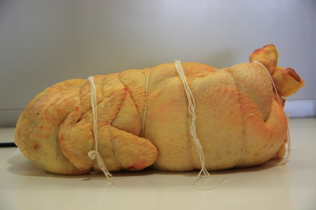 Fleisch mit Fäden auf einem weißen Hintergrund.